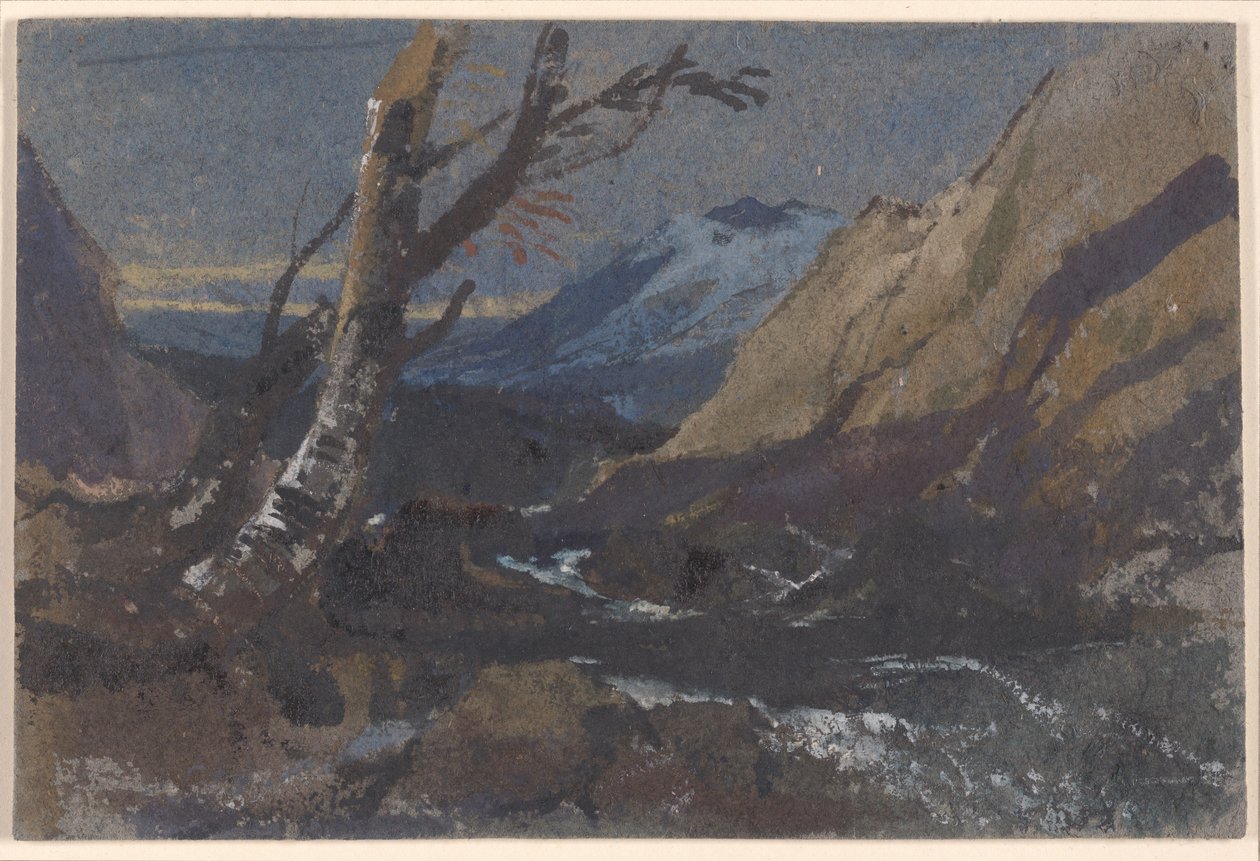 Study of Trees by a Mountain Stream by William James Muller