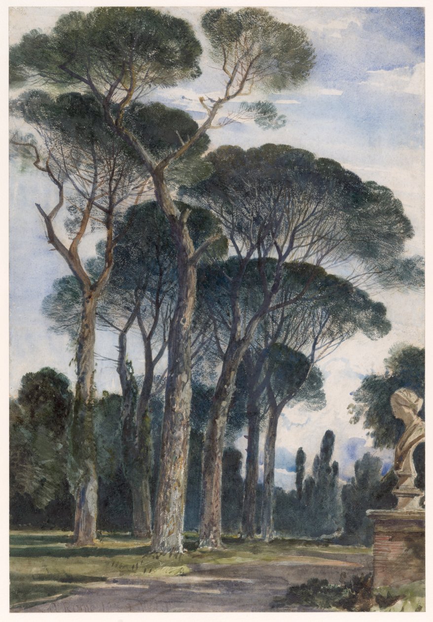 Umbrella Pines in the Villa Borghese, Rome by William James Muller