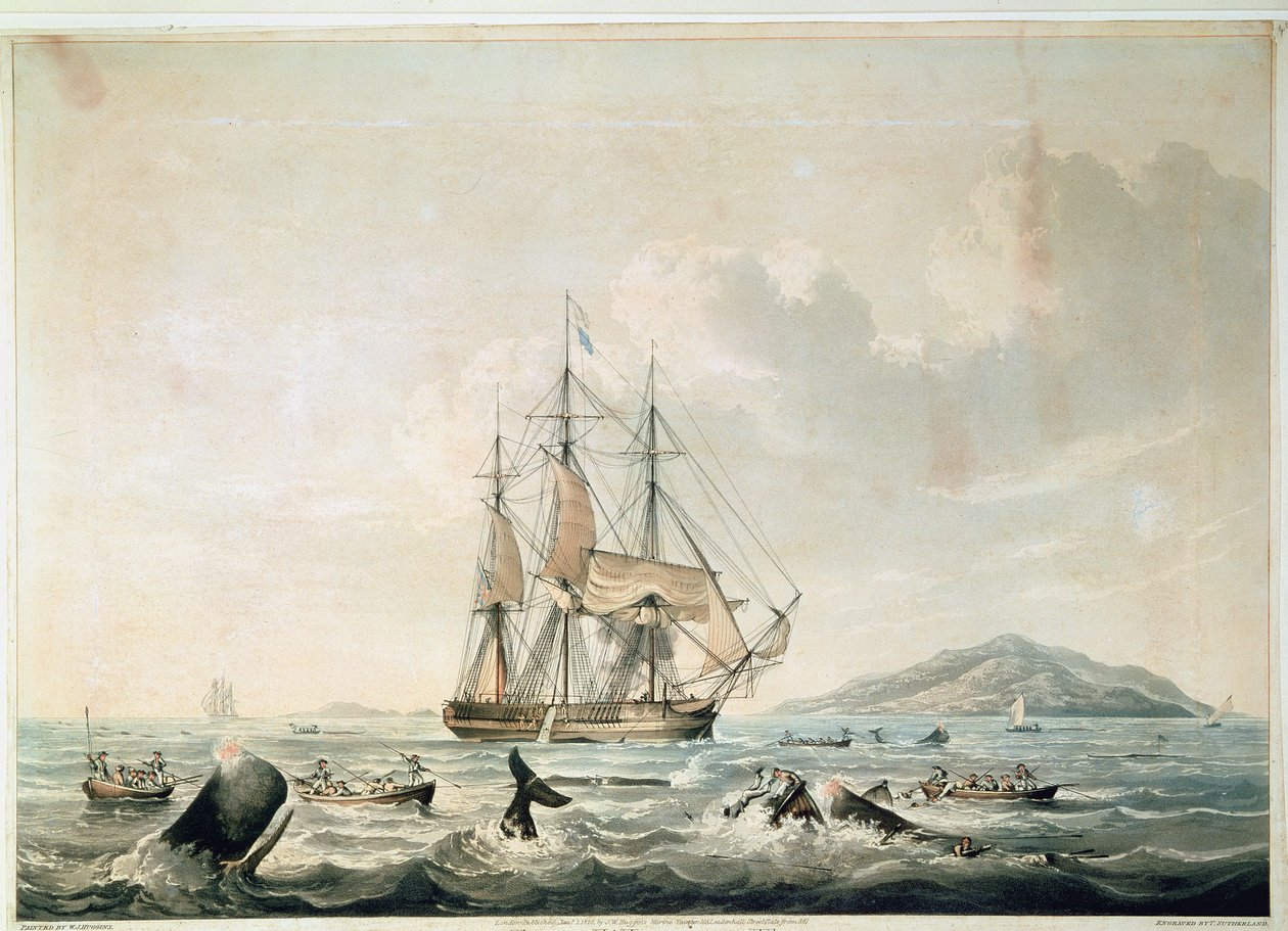 South Sea Whale Fishery, Engraved by T. Sutherland by William John (after) Huggins