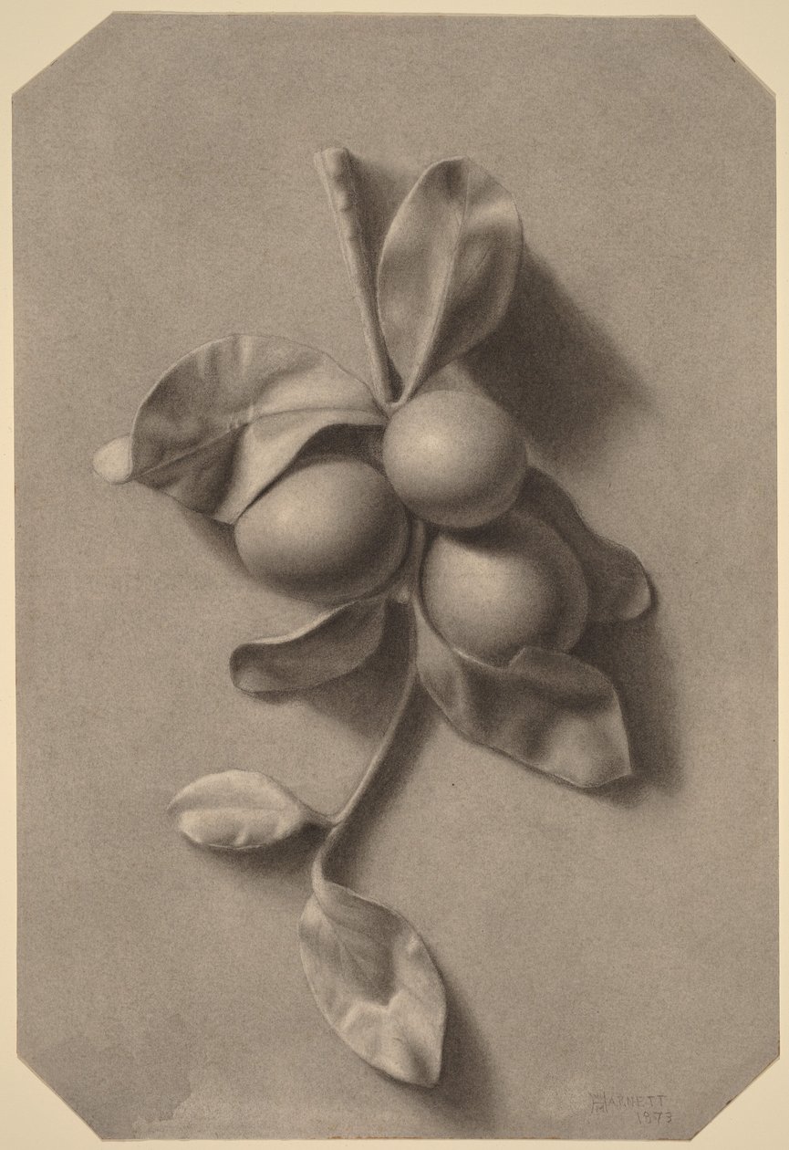 A Sprig of Plums by William Michael Harnett