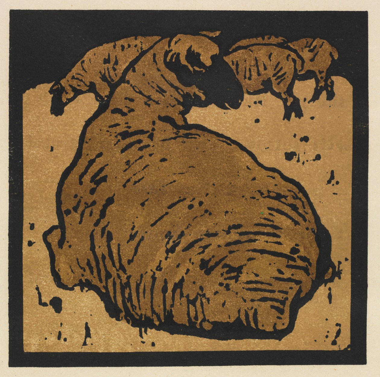 The Square Book of Animals: The Simple Sheep by William Nicholson