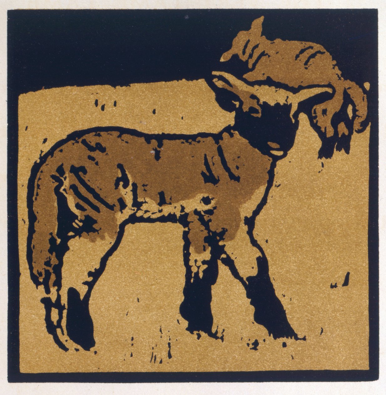 The Very Tame Lamb, from 
