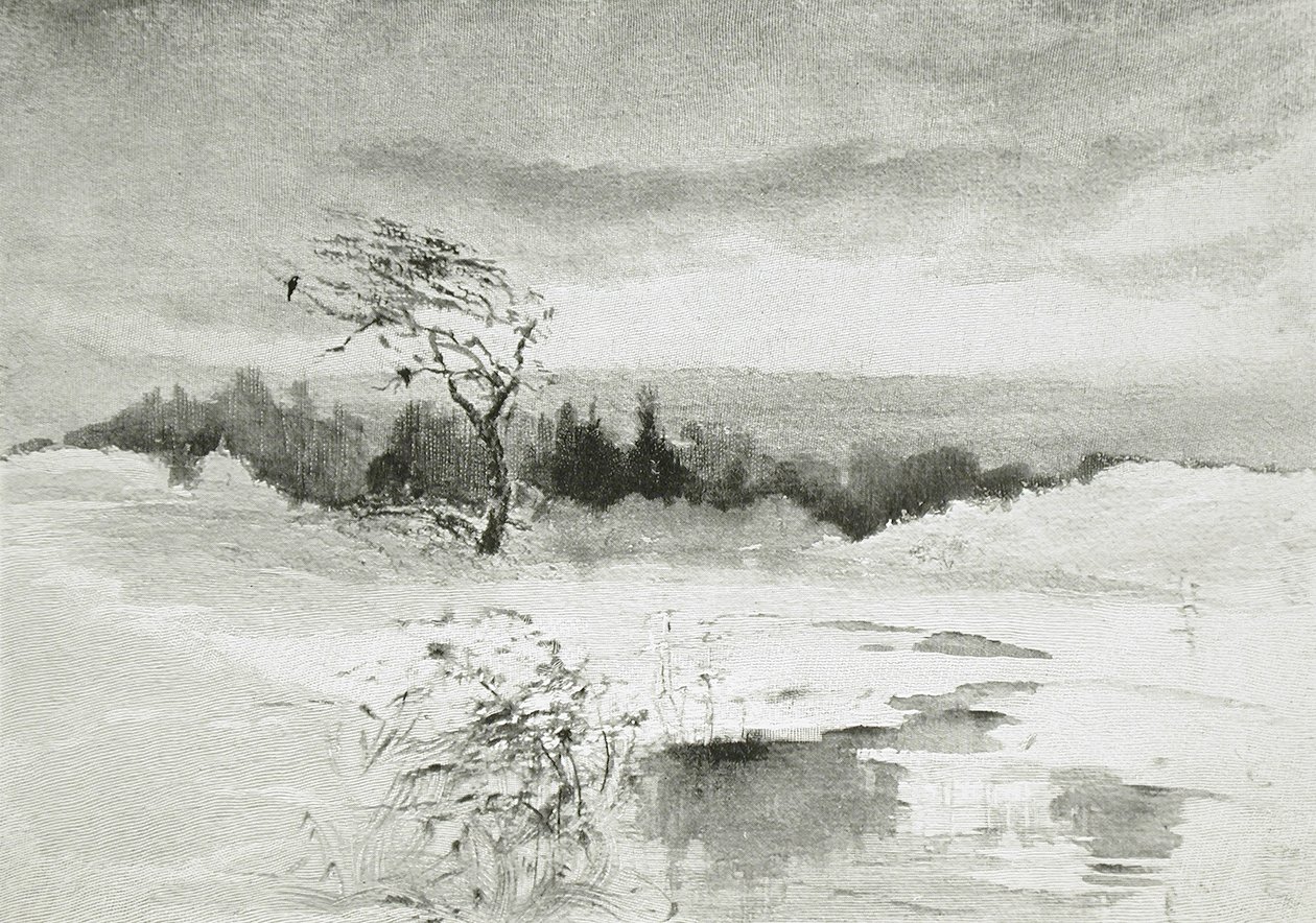 Landscape with Water and Windswept Tree by William Parsons Winchester  Dana