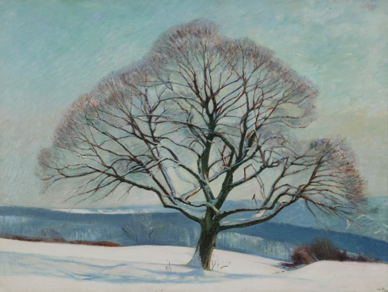 Tree in Winter by William Rothenstein: Buy fine art prints