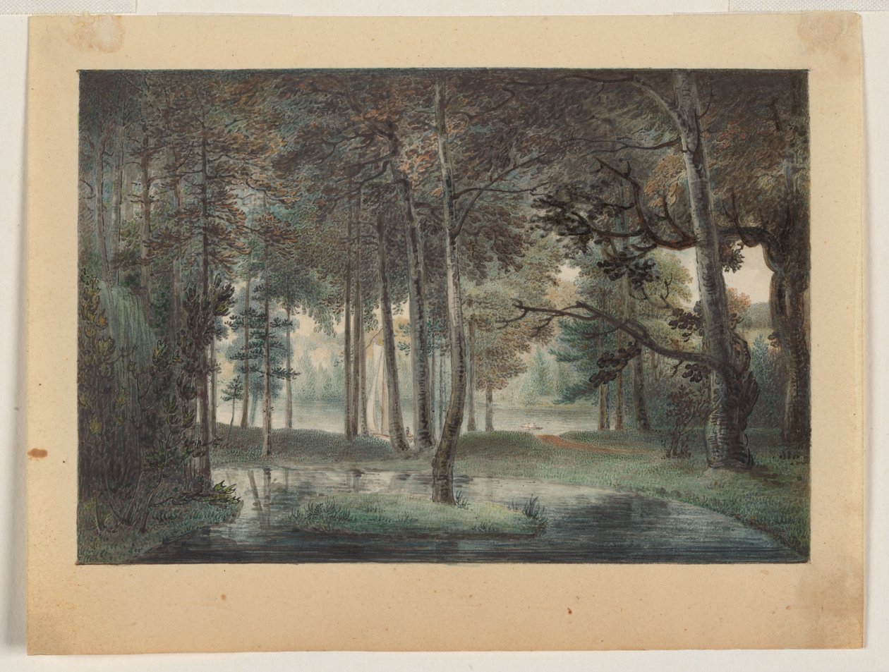 A View from the Artist