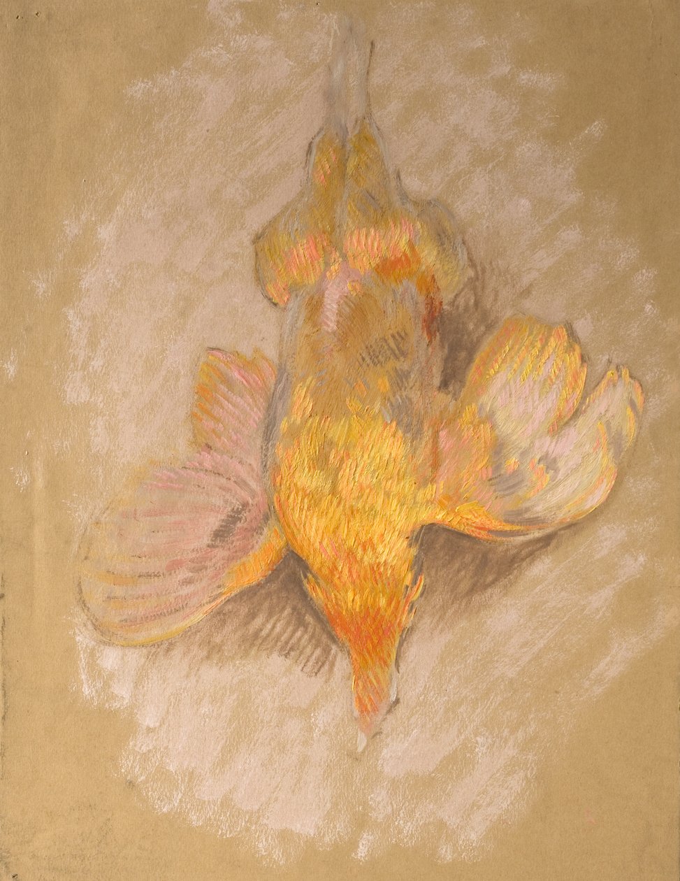 Study of a Fowl for Highland Raiders, c.1918 by William Shackleton