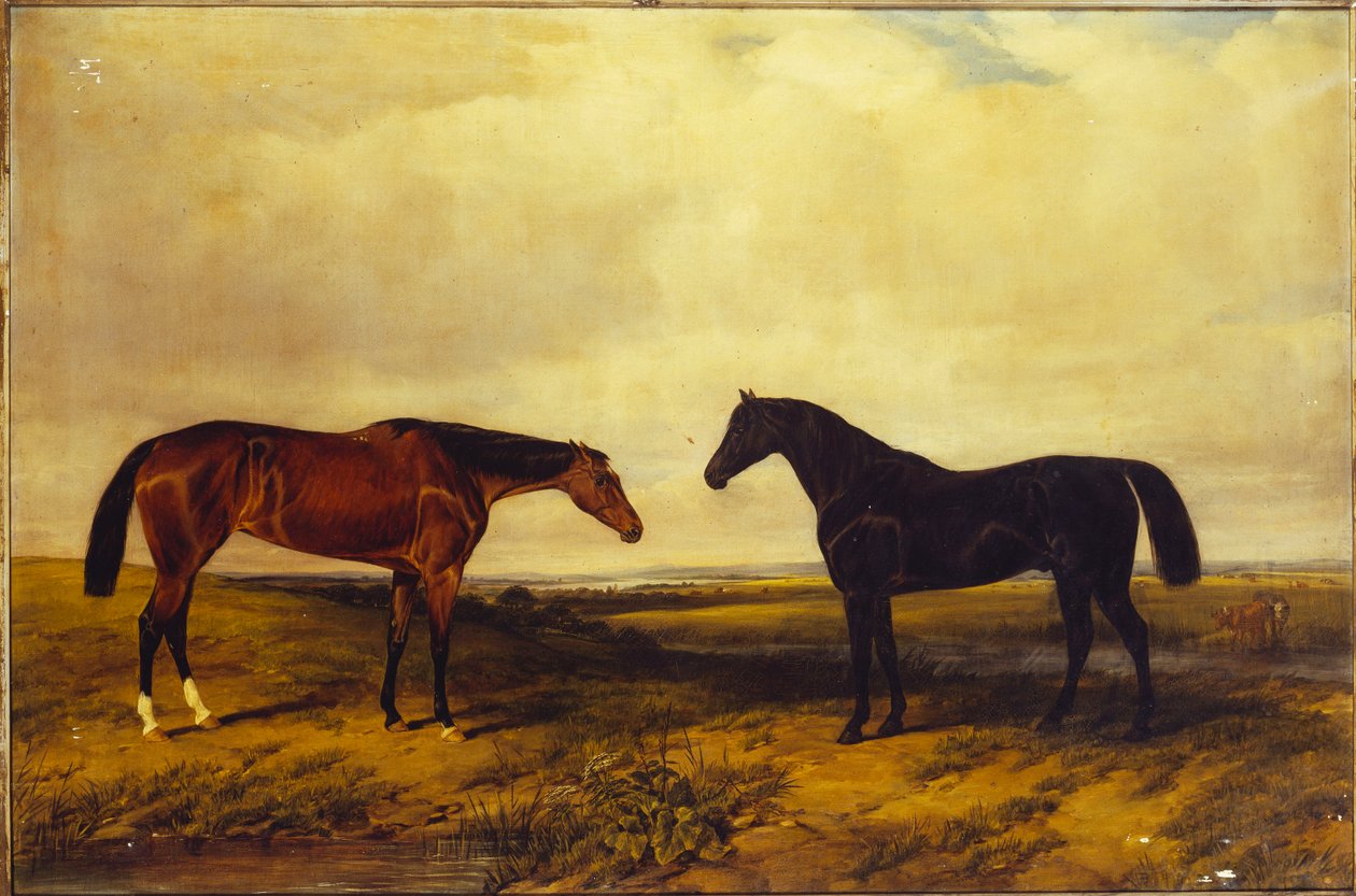 The Earl of Granard
