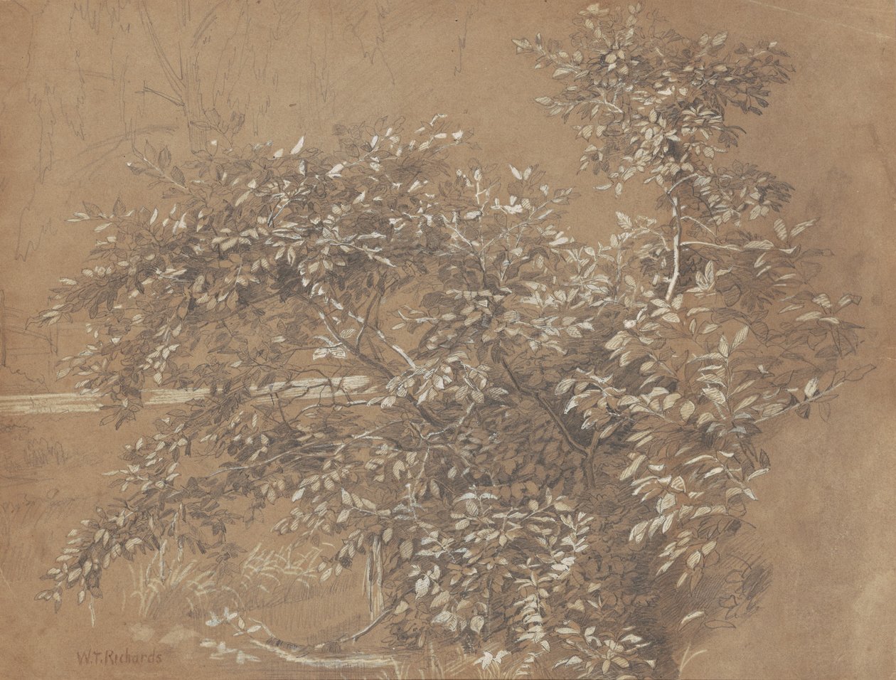 Foliage by William Trost Richards