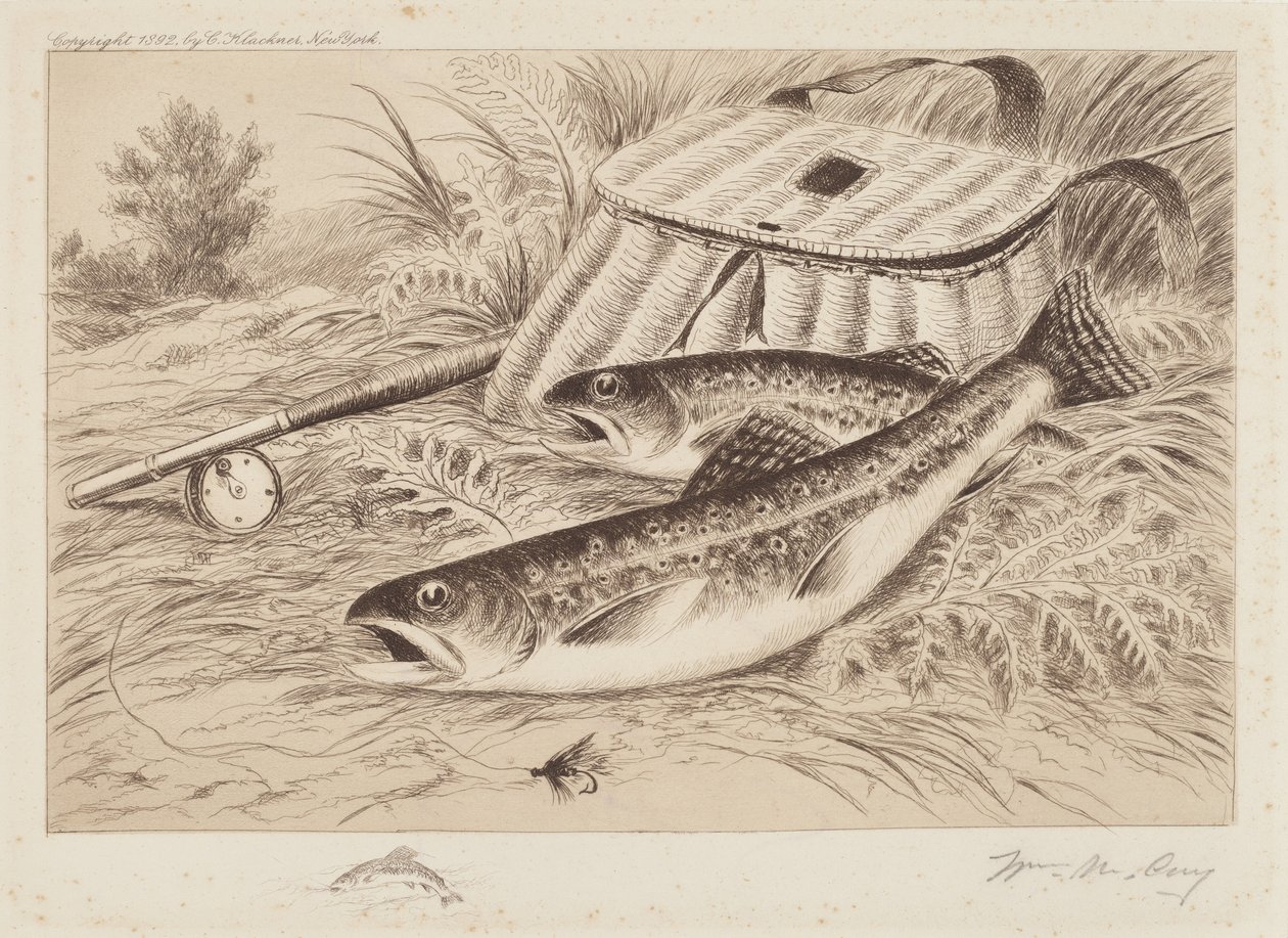 A Good Catch by William de la Montagne Cary