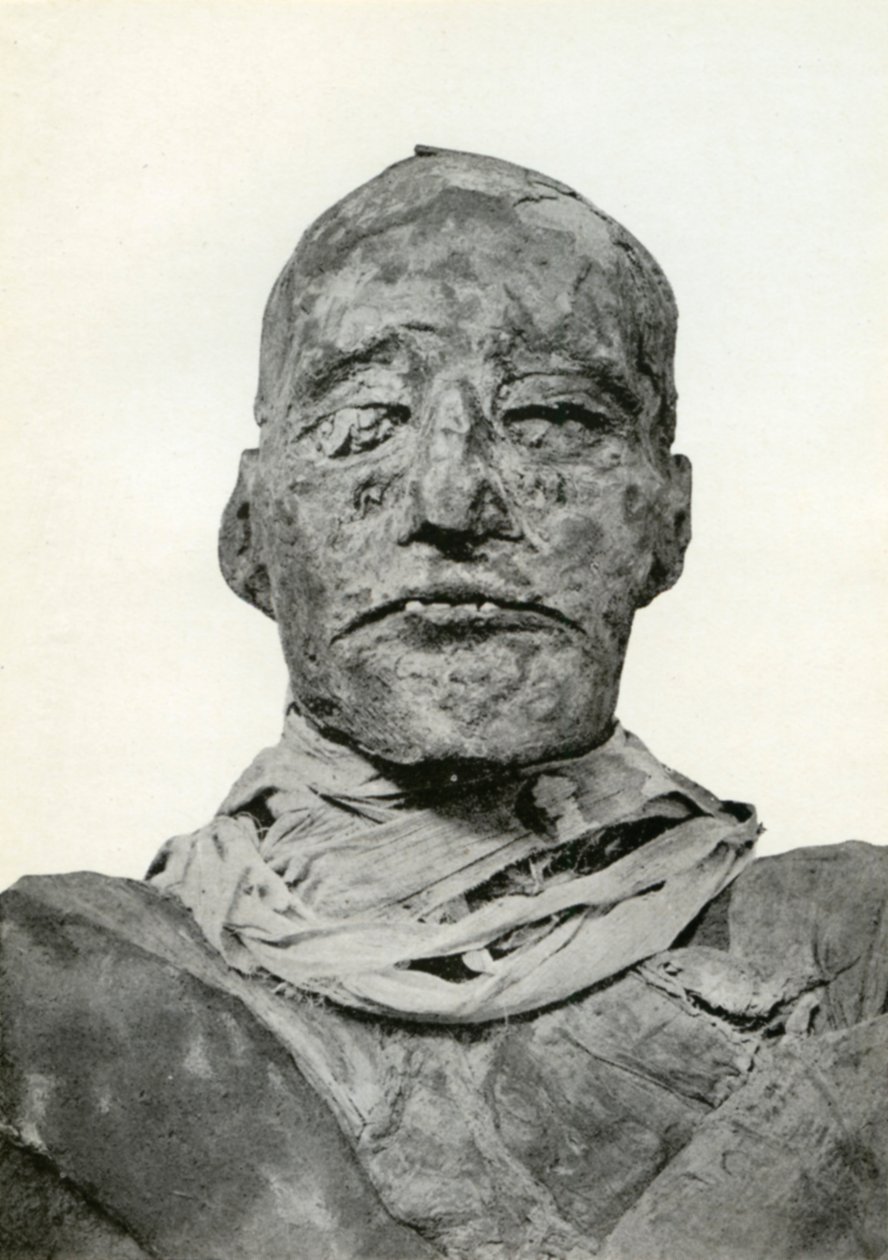 Head of the mummy of Rameses III, Ancient Egyptian pharaoh of the 20th Dynasty, c1156 BC 1926 by Winifred Mabel Brunton