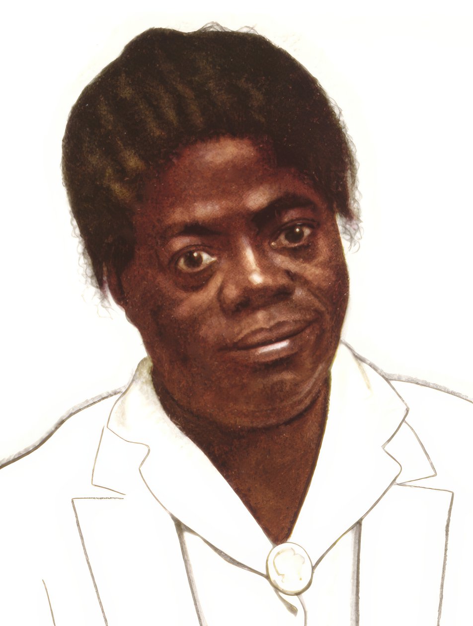 Mary McLeod Bethune, Civil Rights Activist by Winold Reiss
