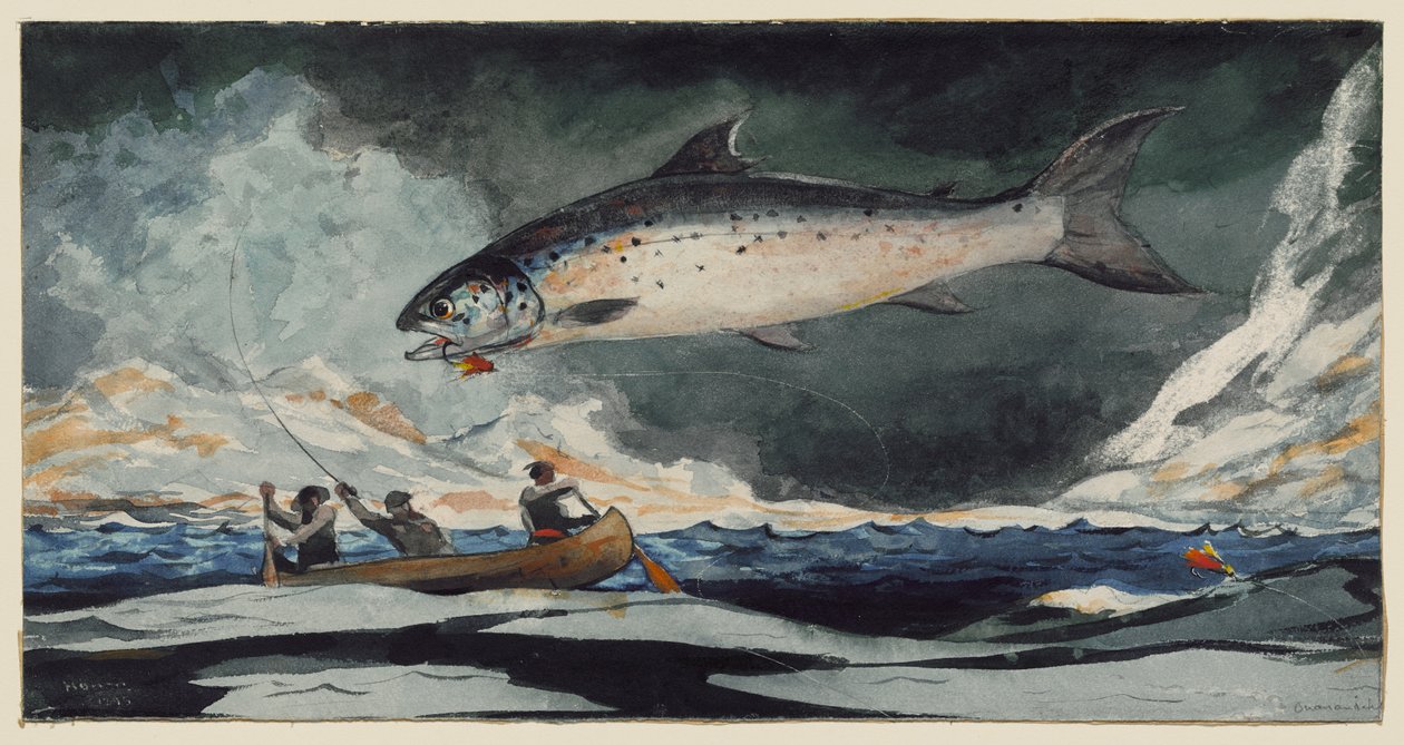 A Good Pool, Saguenay River by Winslow Homer