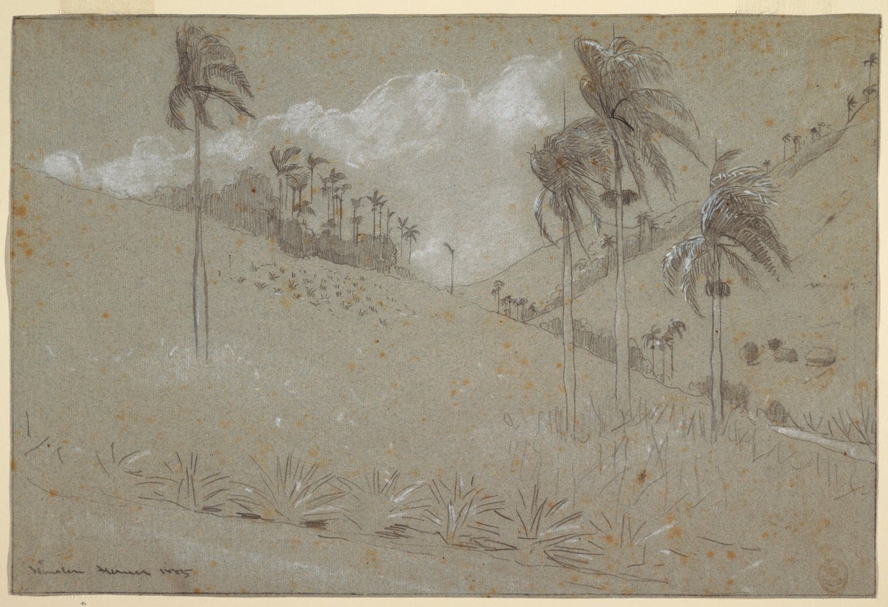 Cuban Hillside, 1885 by Winslow Homer