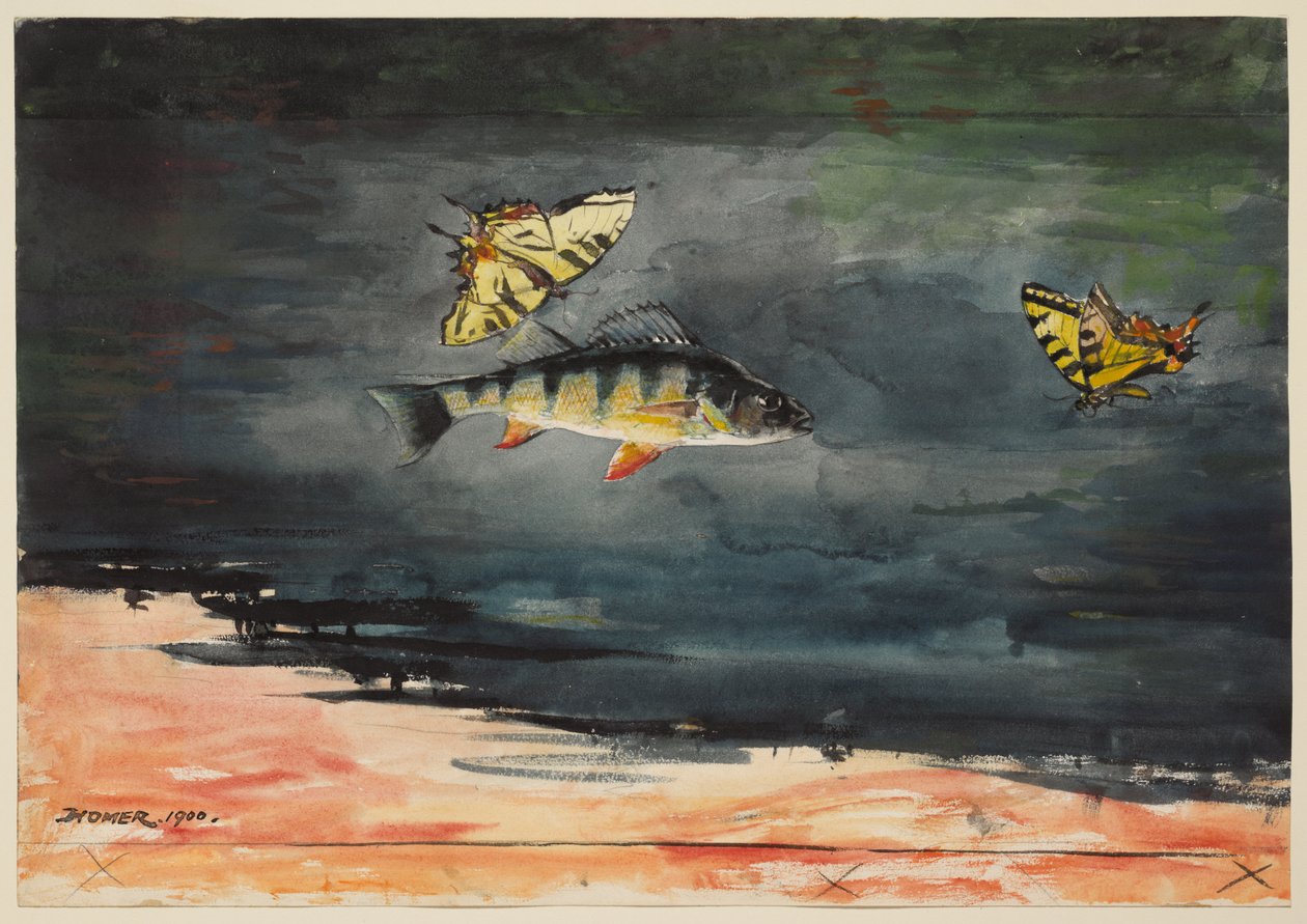 Fish and Butterflies by Winslow Homer