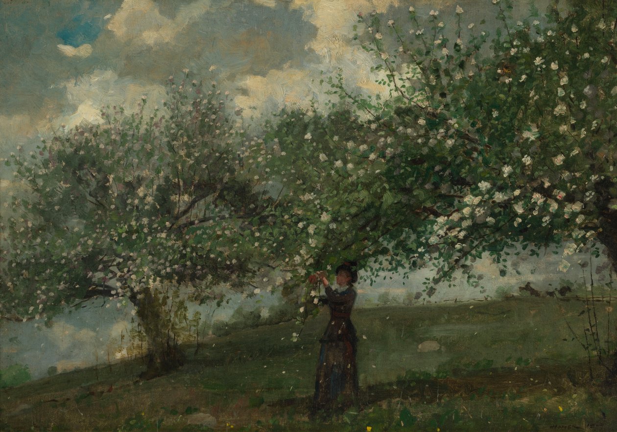 Girl Picking Apple Blossoms by Winslow Homer