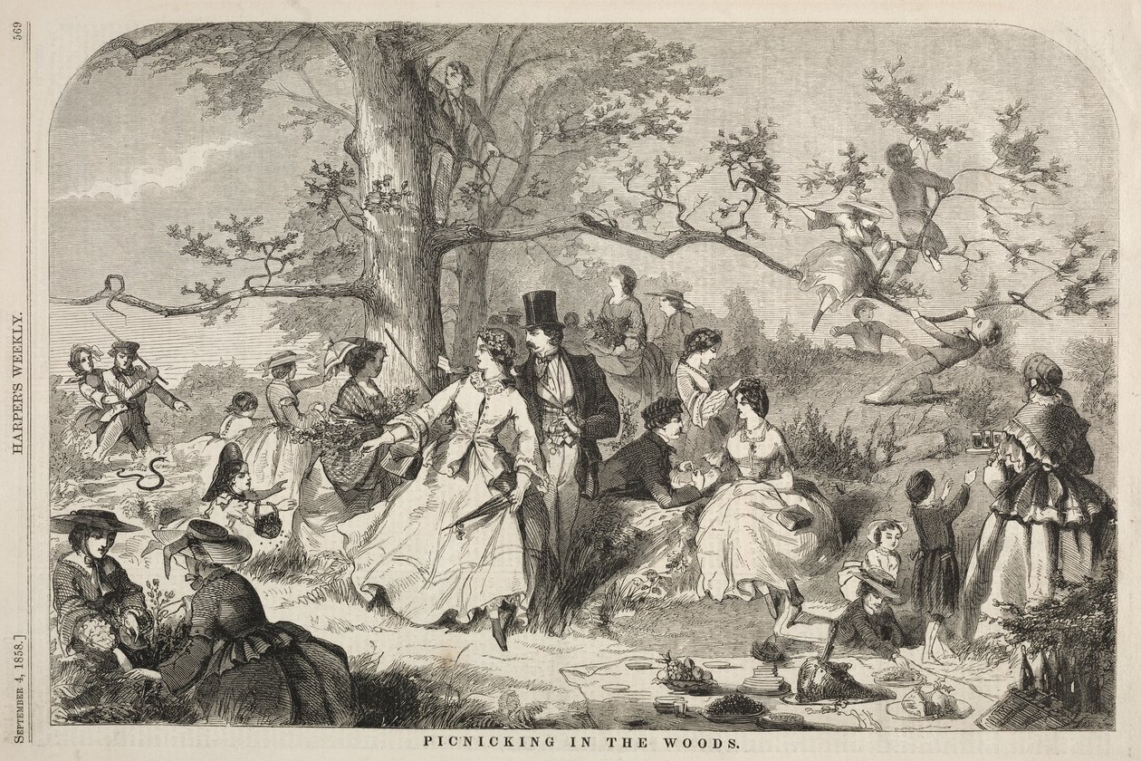 Picnicking in the Woods by Winslow Homer