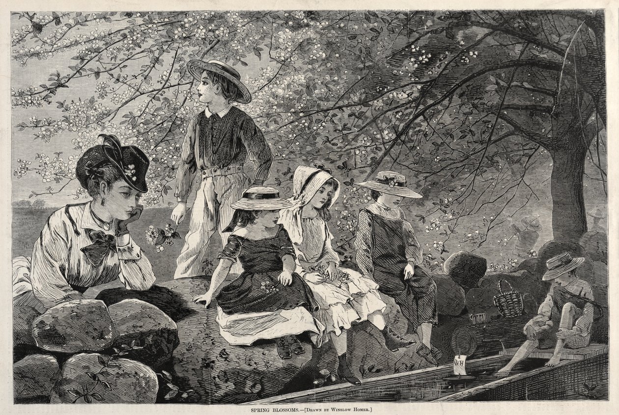 Spring Blossoms by Winslow Homer