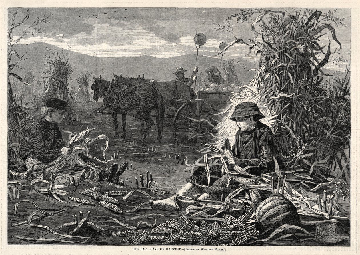 The Last Days of Harvest by Winslow Homer