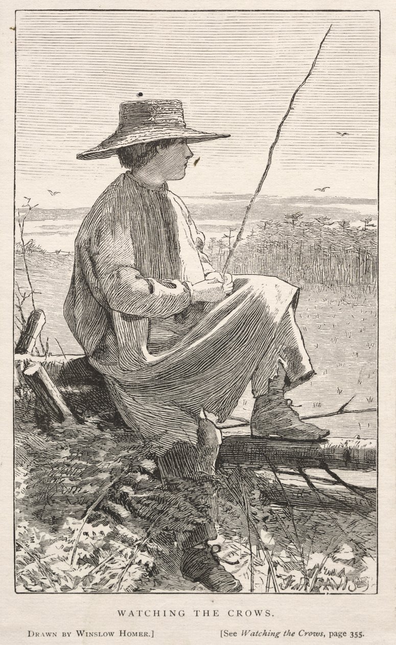Watching the Crows by Winslow Homer: Buy fine art print