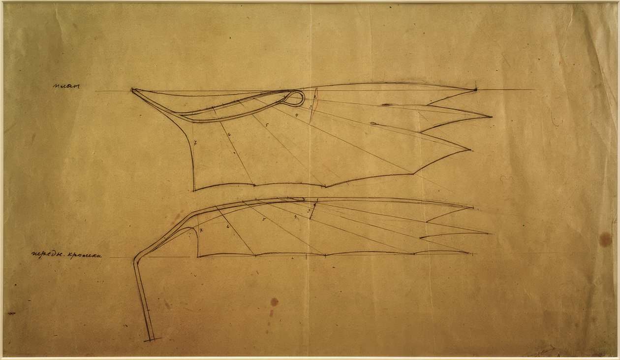 Wing of the Letatlin by Wladimir F. Tatlin: Fine art print