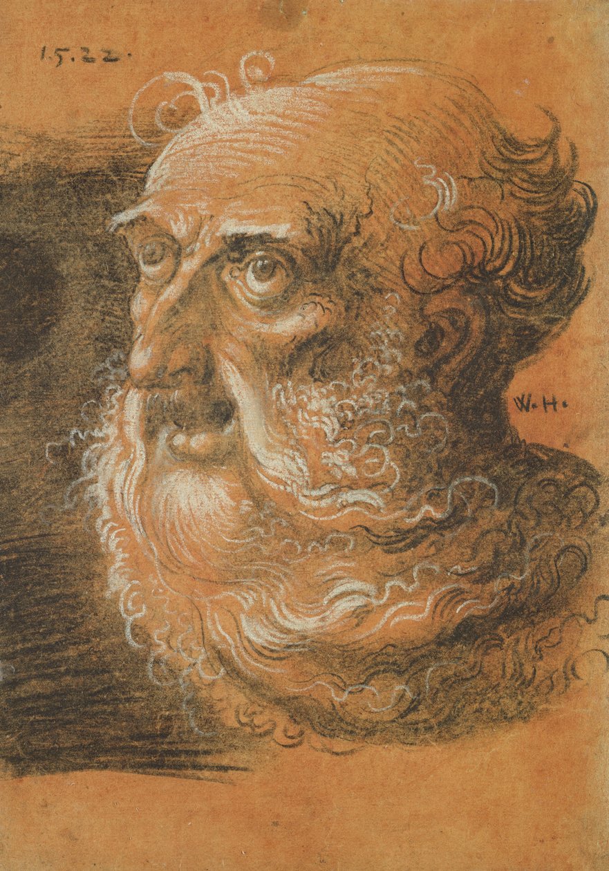 Head Study, 1522 by Wolf Huber