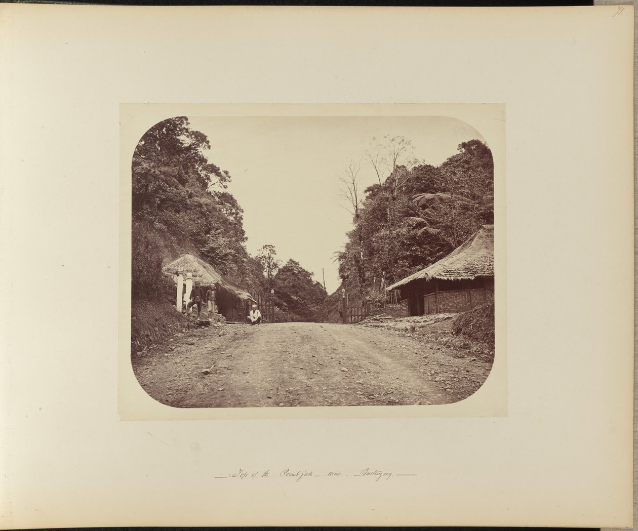 Top of the Poentjak near Buitenzorg by Woodbury and Page