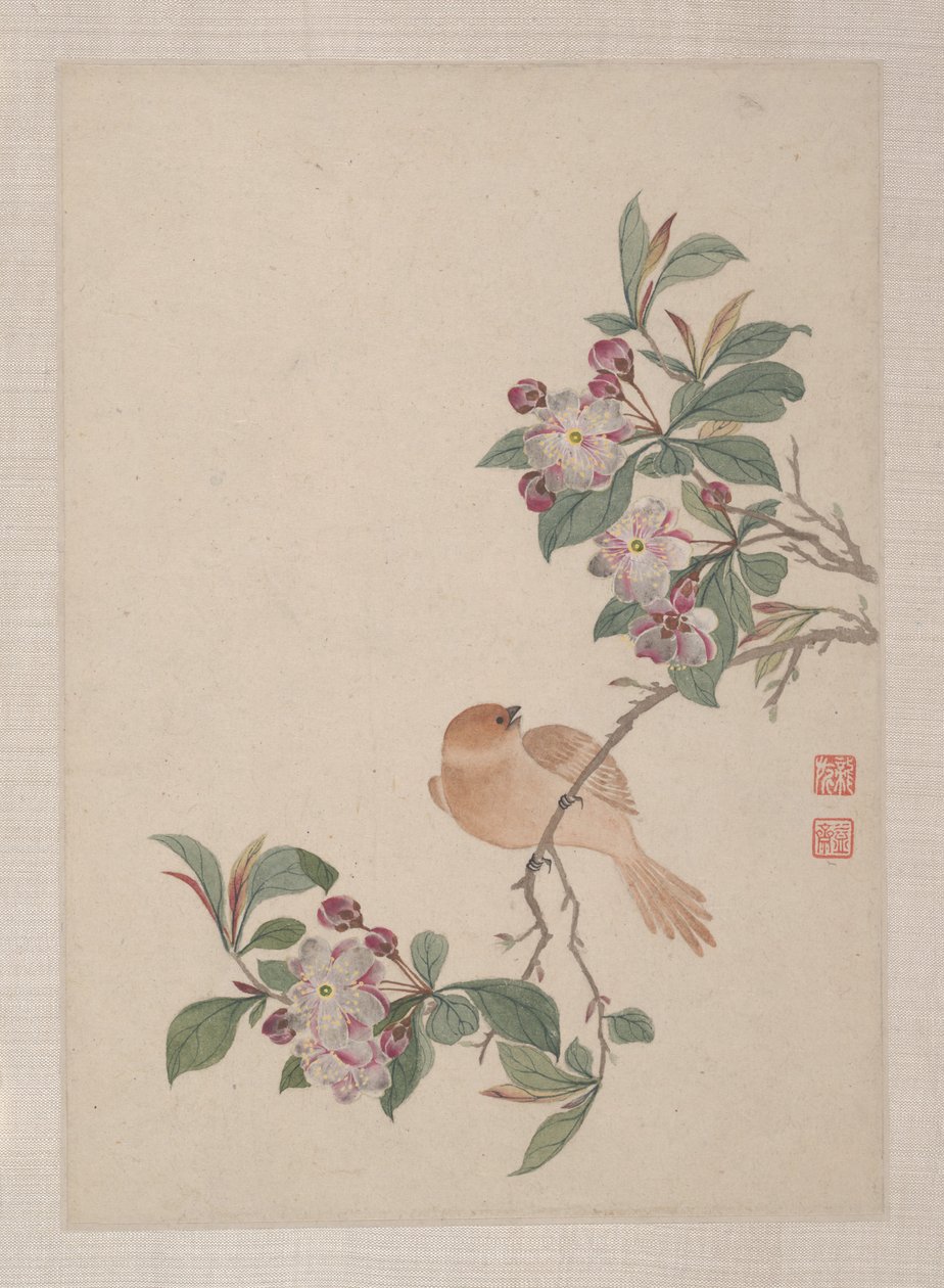 Birds, Insects and Flowers by Zhai Yi
