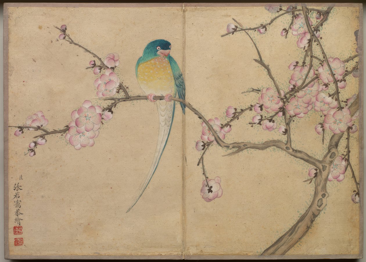 Desk Album: Flower and Bird Paintings (Bird with Plum Blossoms) by Zhang Ruoai