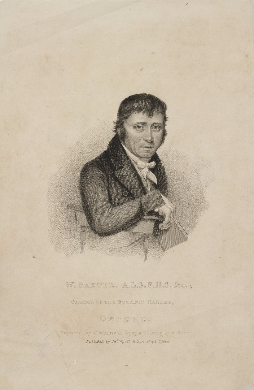 William Baxter, ALS FHS, British Botanist, c 1820s by Frederick (attr. to) Barnard