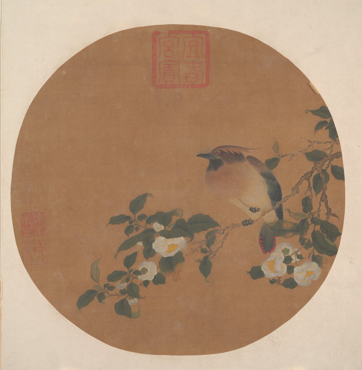 Branch of Tree with Flowers and Bird of Waxwing Family by anonymous 