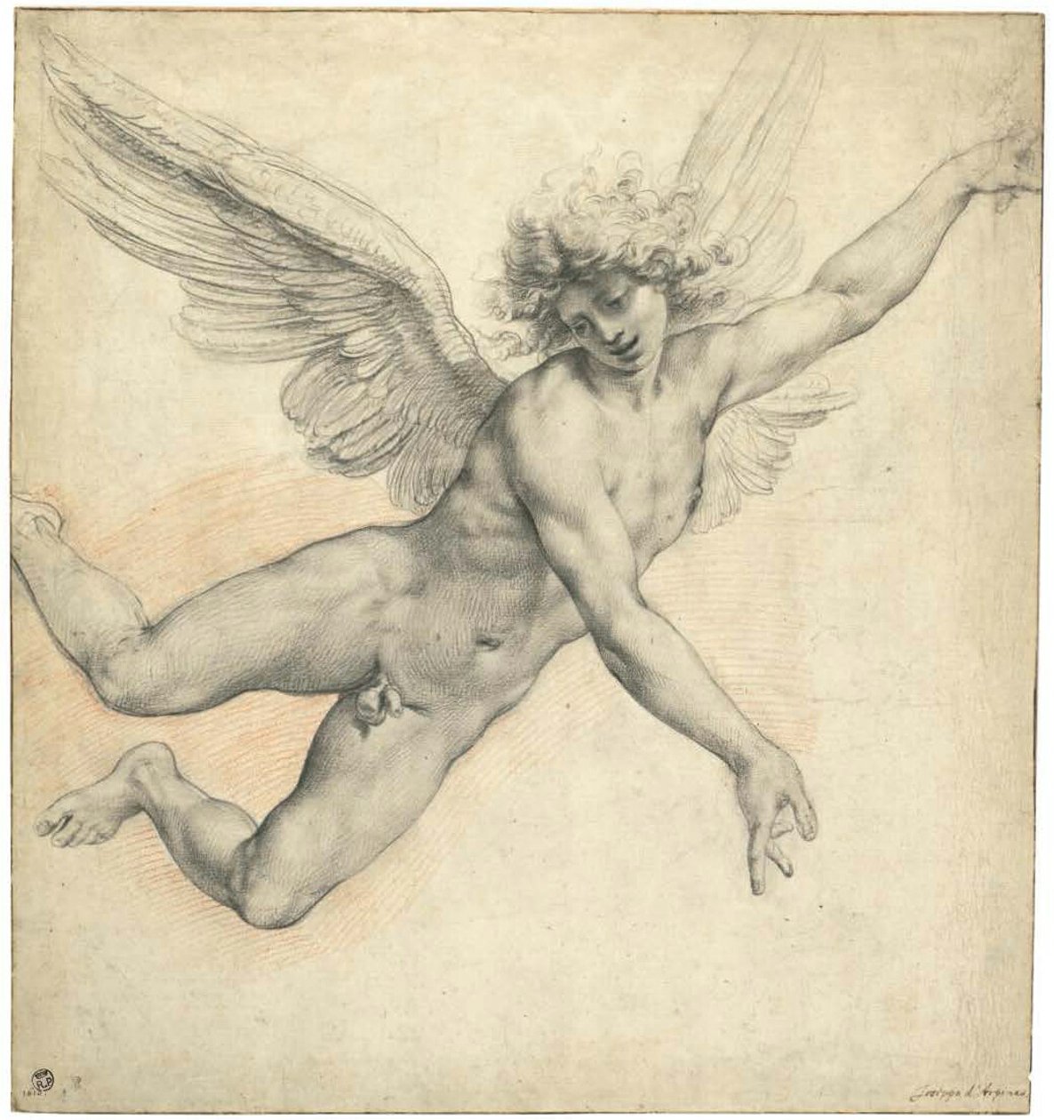 An Angel in Flight by called Cavaliere d