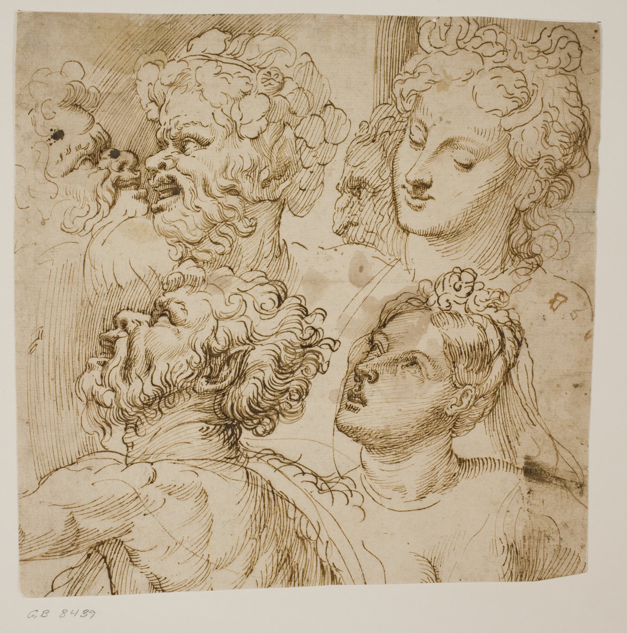 Studies for the Heads of Three Satyrs, an Old Man and Two Women by dall
