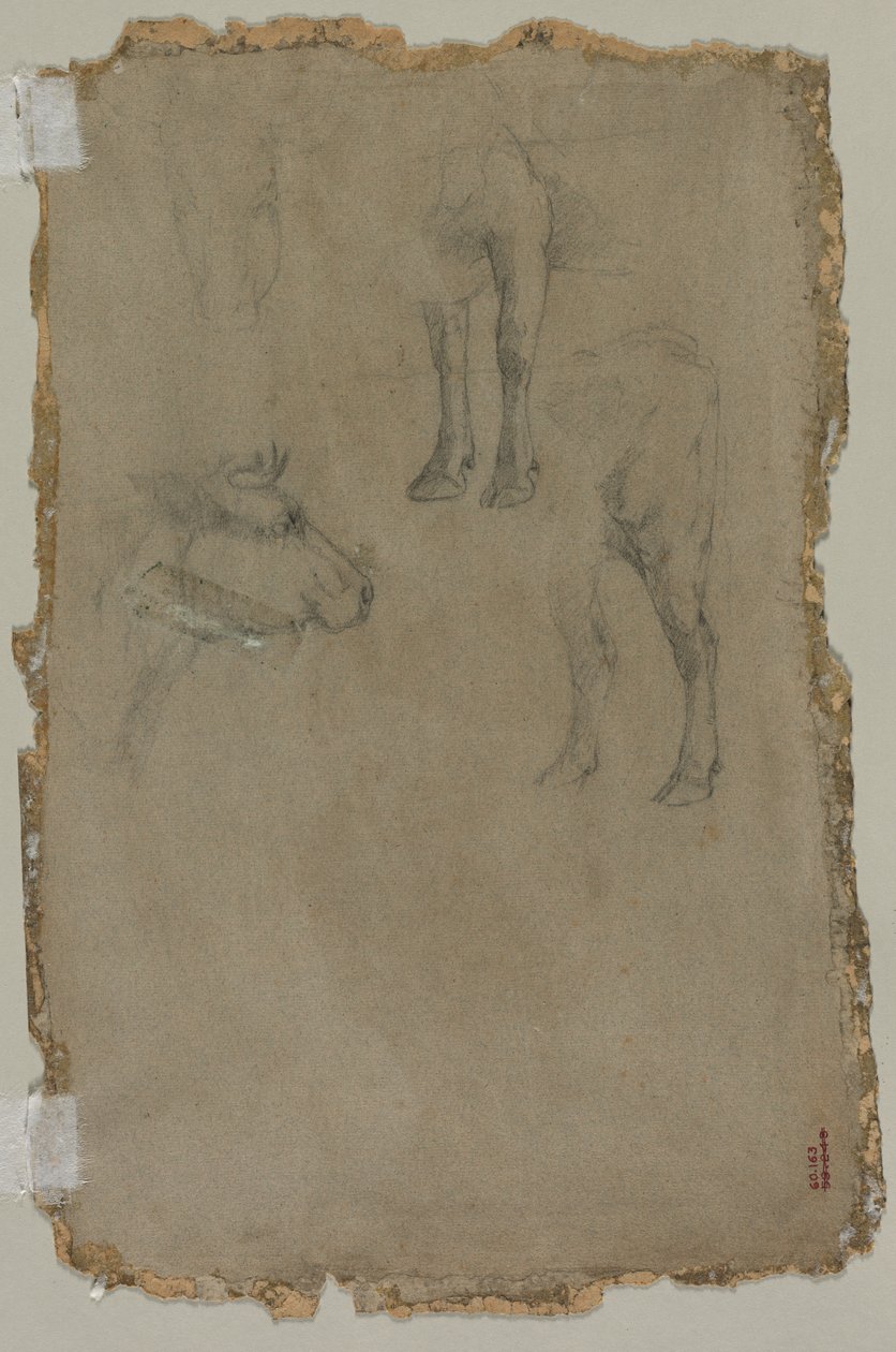Studies of a Bull (verso) by possibly by Johan Barthold Jongkind