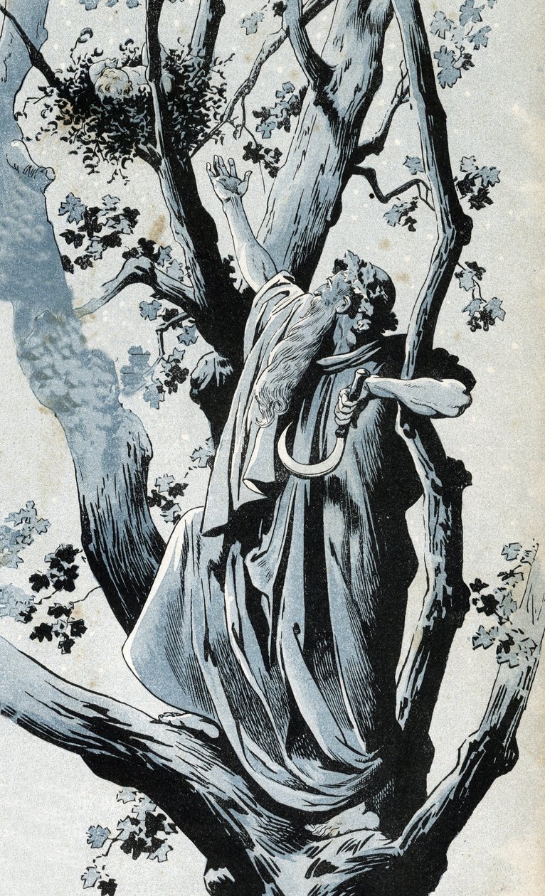 A Gallic Druid Climbing in an Oak to Pick Mistletoe with His Serpe, Discovers a Little Girl There by pseudonym for Onfray de Breville Jacques Job
