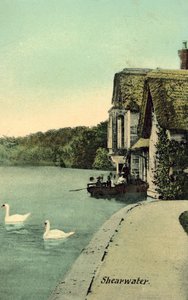 Shearwater by (after) English photographer