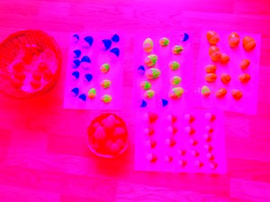 Neon Eggs by Martina Konitzky