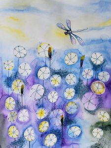 Dandelions