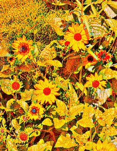 Sunflowers for Van Gogh by Margareta Uliarte