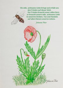 The Image of Noble, Mindful Love by Johanna Thier