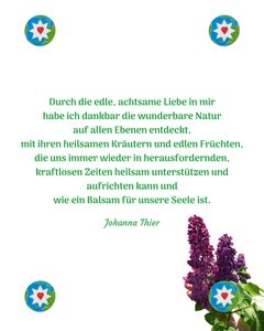  by Johanna Thier