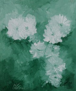 Fiori bianchi by 