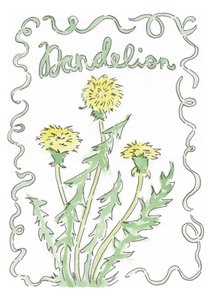 Dandelion by june art