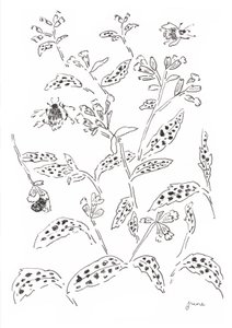 Bumblebee and Wildflower Study by june art