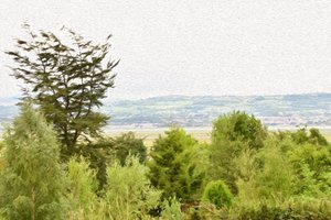 Nature Landscape by Albert Mansour