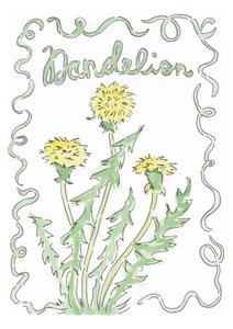 Dandelion by june art