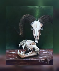 Memento Mori (Study of Animal Skulls)