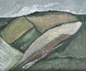 Open Fields by M. Vet