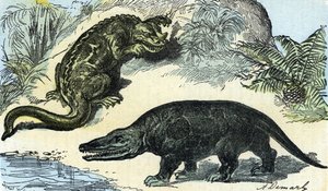 Prehistory: representation of an iguanodon and megalosaur from the Cretaceous period
