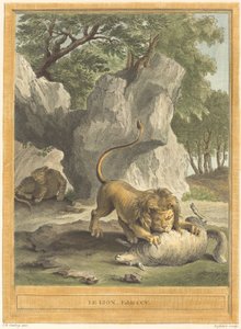 The Lion