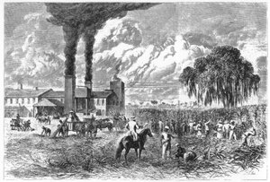 Sugar Plantation, New Orleans, 1870